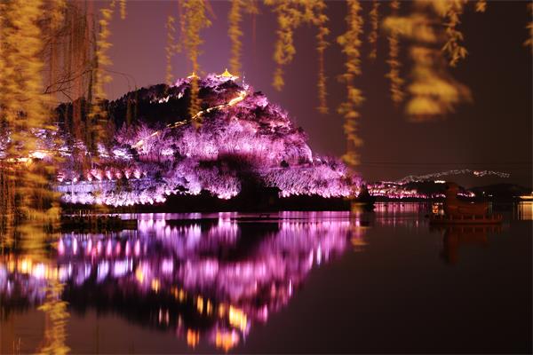 雁棲湖夜景欣賞