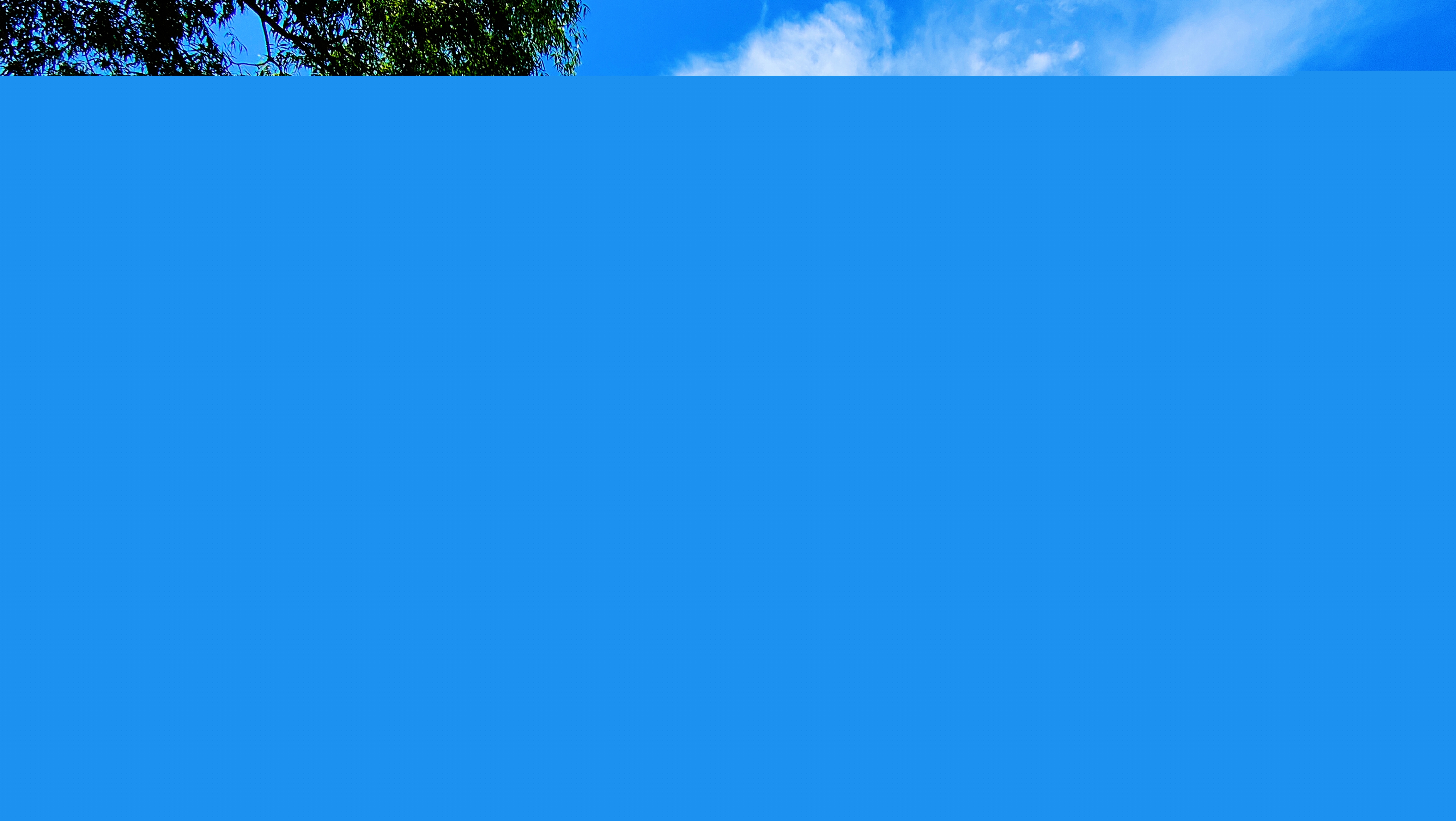 1f8c8cdf32a98e6536c41279e82f12b